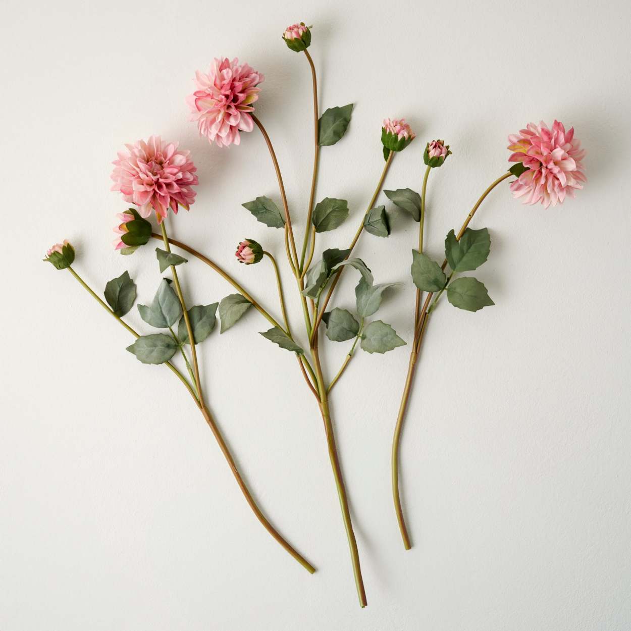 Dahlia Bloom Bundle - Magnolia