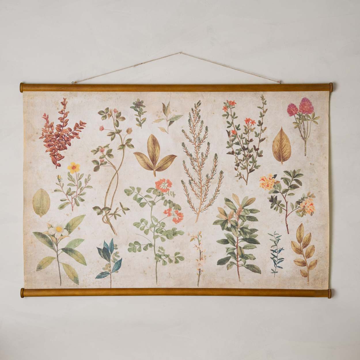 Botanical Study Tapestry Magnolia