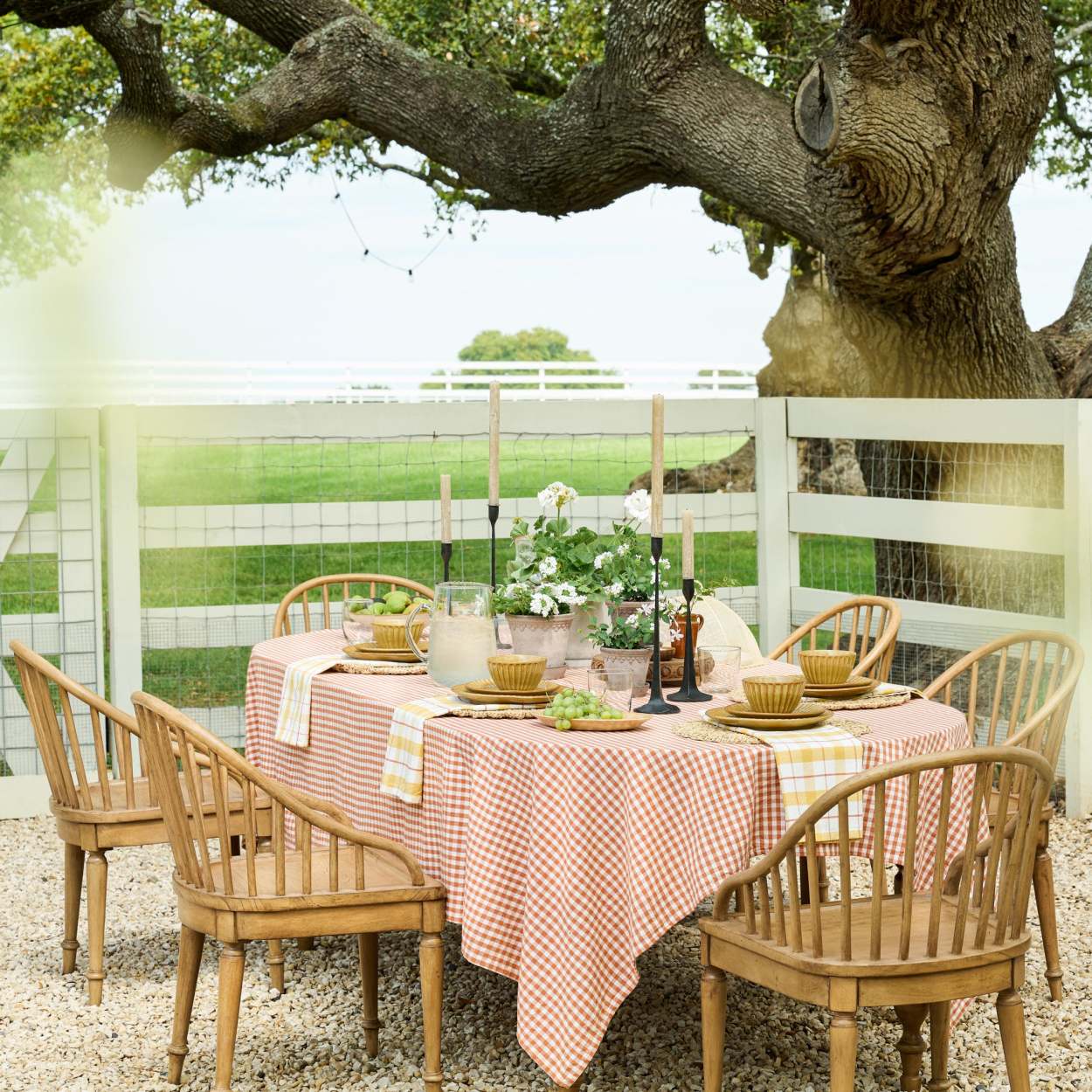 C&f Home Magnolia Garden Napkin Set Of 6 : Target