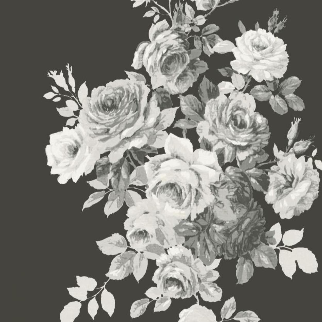 black and white rose background