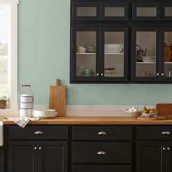 Creamy mint green interior paint named freshly cut stems shown painted on kitchen wall