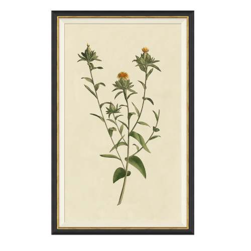 ずっと気になってた Artwork Botanical Shop Magnolia - 絵画