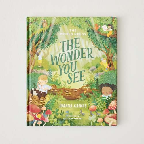 The World Needs the Wonder You See book cover $19.99