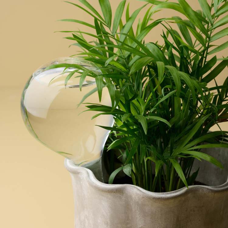 Garden Watering Bulb
