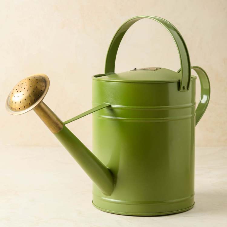 Magnolia Green Enamel Watering Can