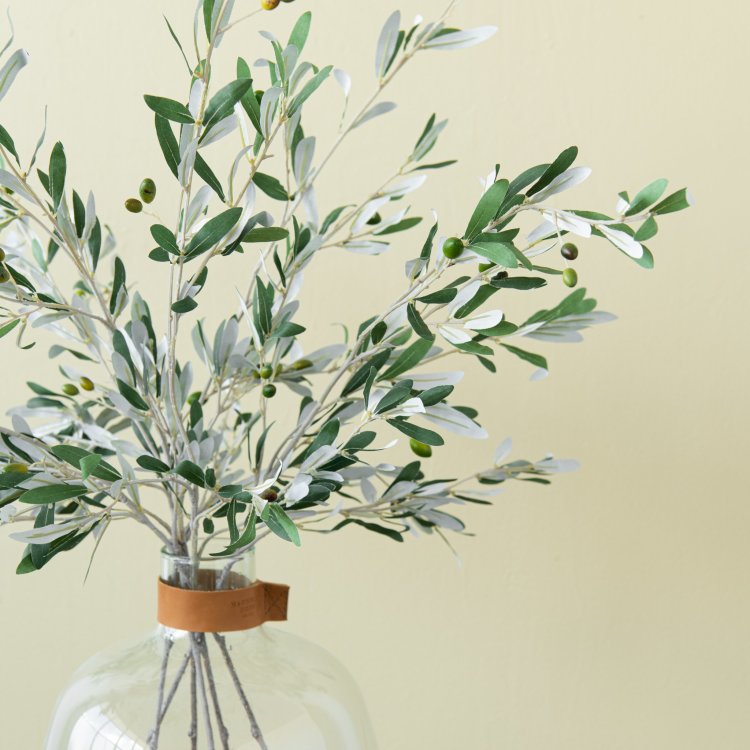 Olive Stem