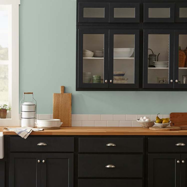 Creamy mint green interior paint named freshly cut stems shown painted on kitchen wall
